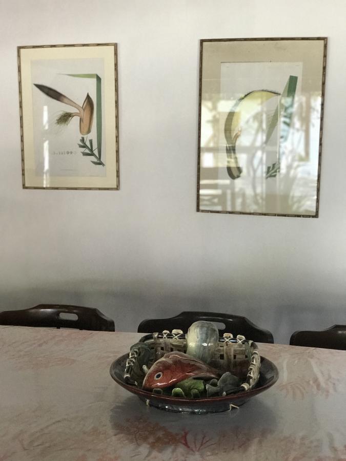 Casa Amor Do Mar Búzios Kültér fotó