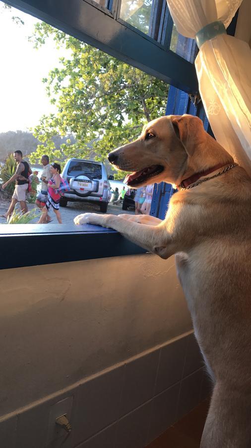 Casa Amor Do Mar Búzios Kültér fotó